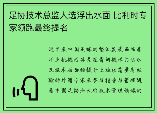 足协技术总监人选浮出水面 比利时专家领跑最终提名